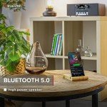 Audizio Naples DAB Digital Radio with CD Player