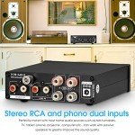 Nobsound Mini TPA3221 Stereo Power Amplifier 100W