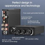 Nobsound Mini TPA3221 Stereo Power Amplifier 100W