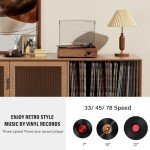Bluetooth Vinyl Record Player with Stereo Speakers