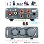 Nobsound NS-13G Mini Hi-Fi Stereo Amplifier