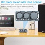 Nobsound NS-13G Mini Hi-Fi Stereo Amplifier