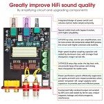 Nobsound NS-13G Mini Hi-Fi Stereo Amplifier