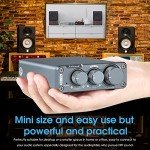 Nobsound NS-13G Mini Hi-Fi Stereo Amplifier
