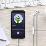 Lightweight Wired Earbuds with Microphone and Noise Isolation