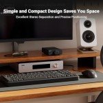 Fosi Audio V3 Compact 300W HiFi Power Amplifier
