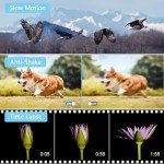 SIXTARY 1080P FHD Vlogging Camcorder with Remote