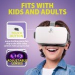 DESTEK V5 VR Headset with Bluetooth Controller