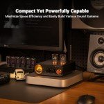 Fosi Audio MC331 Tube Amp with Bluetooth & DAC