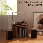 Wireless Bluetooth Record Player with Detachable Speakers