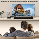1Mii B03 Bluetooth 5.3 Audio Adapter for TV