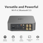 WiiM Amp Pro: Multiroom Streaming Amplifier - Dark Gray