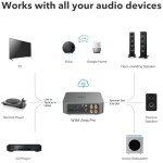 WiiM Amp Pro: Multiroom Streaming Amplifier - Dark Gray