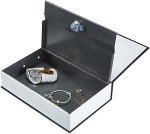 Amazon Basics Large Book Safe with Key Lock