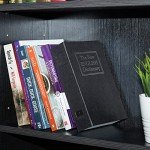Amazon Basics Large Book Safe with Key Lock