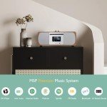 LEMEGA M5P DAB Radio & Bluetooth Speaker System