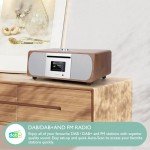 LEMEGA M5P DAB Radio & Bluetooth Speaker System