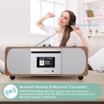 LEMEGA M5P DAB Radio & Bluetooth Speaker System