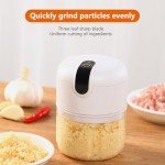 Mini Electric Garlic and Food Chopper 250ml