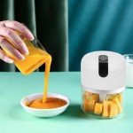 Mini Electric Garlic and Food Chopper 250ml