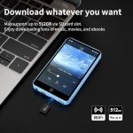 80GB Bluetooth MP3 Player with Touchscreen & WiFi