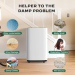 Smart 20L Home Dehumidifier with Humidity Display