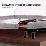 Fenton RP165D Bluetooth Record Player System