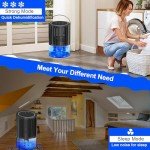 Compact Auto Defrost Dehumidifier for Home Use