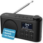 Portable Bluetooth DAB Radio with Rechargeable Battery
