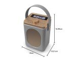 Bluetooth DAB+ Radio | 15-Hour Battery & Dual Alarm