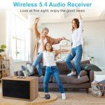Friencity Bluetooth 5.4 Audio Receiver for Speakers