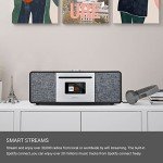 LEMEGA MSY5 DAB Radio and Bluetooth Stereo System