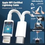 20W Fast iPhone Charger - 2 Pack with Cables
