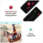 Polar H10 Heart Rate Sensor for Horses, Black