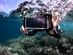 DiveVolk Seatouch 4 Max Underwater Phone Case
