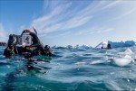 DiveVolk Seatouch 4 Max Underwater Phone Case