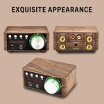 Uadme Bluetooth Mini Amplifier 50W 2.0 Channel