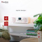 Audizio Naples WiFi DAB Digital Radio with Bluetooth