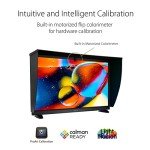 ASUS ProArt 31.5" 4K OLED Professional Monitor