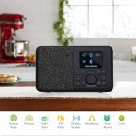 MangoKit SR10 Portable WiFi Digital Radio & Speaker