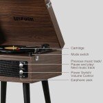Bluetooth Turntable with Stand and Built-in Speakers