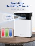 Smart Dehumidifier with Quiet LED Display
