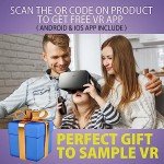 DESTEK V5 VR Headset with Eye Protection