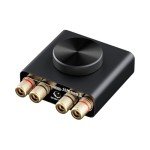 NEOHIPO Mini Bluetooth Stereo Power Amplifier 50W