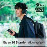 Sony Walkman NW-A306 32GB Touchscreen MP3 Player