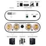 Nobsound NS-10G PRO Mini Bluetooth Audio Amplifier