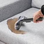 Vytronix SWASH450P Spot Cleaner for Stains