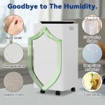 KioGro 12L Electric WIFI Dehumidifier with Lights