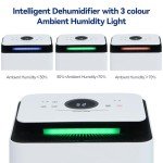 KioGro 12L Electric WIFI Dehumidifier with Lights