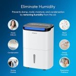Smart 30L Dehumidifier with Wi-Fi and App